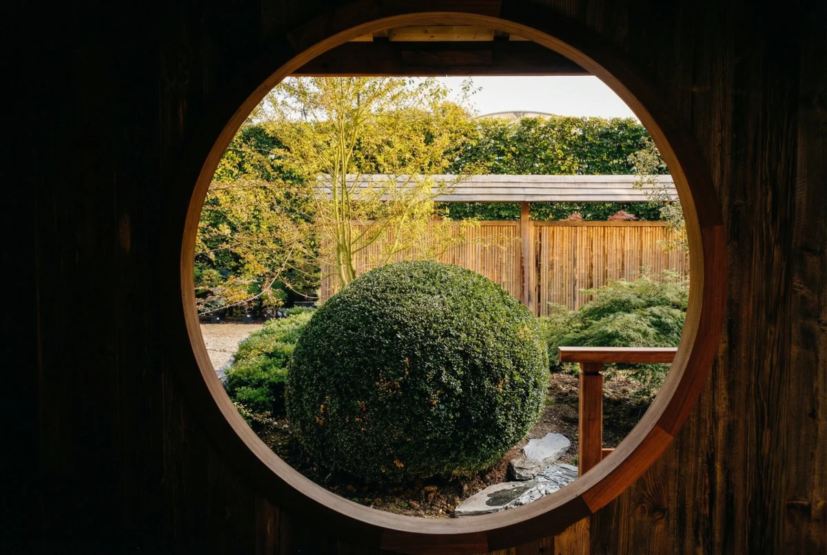 Vue a travers une fenetre lune sur le jardin japonais et ses topiaires