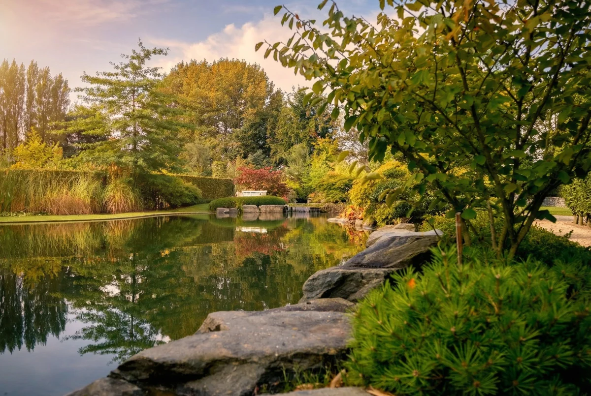 Jardin japonais avec plan d'eau, rochers naturels et feuillage automnal